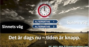 Det är dags att välja väg, den mot ökad medvetenhet, etik och moral, Satya Yuga, eller stanna kvar i den föregående tidsåldern, Kali Yuga