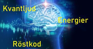 Ljudterapi, Kvantljud och Röstkoder