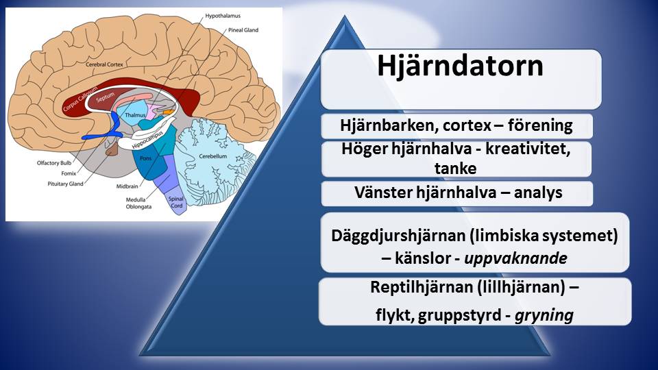 Verklighet eller Illusion?